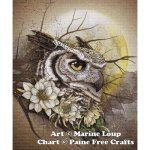 (image for) Owl